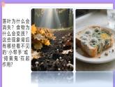 12.1.2《微生物的特點和主要類型》  第2課時   課件+教案