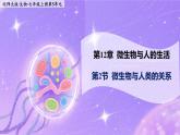 12.2《微生物與人類的關(guān)系》 課件+教案