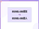 12.2《微生物與人類的關(guān)系》 課件+教案