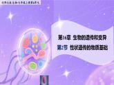16.2《性狀遺傳的物質(zhì)基礎(chǔ)》 課件+教案