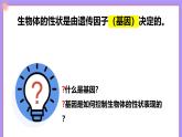 16.2《性狀遺傳的物質(zhì)基礎(chǔ)》 課件+教案