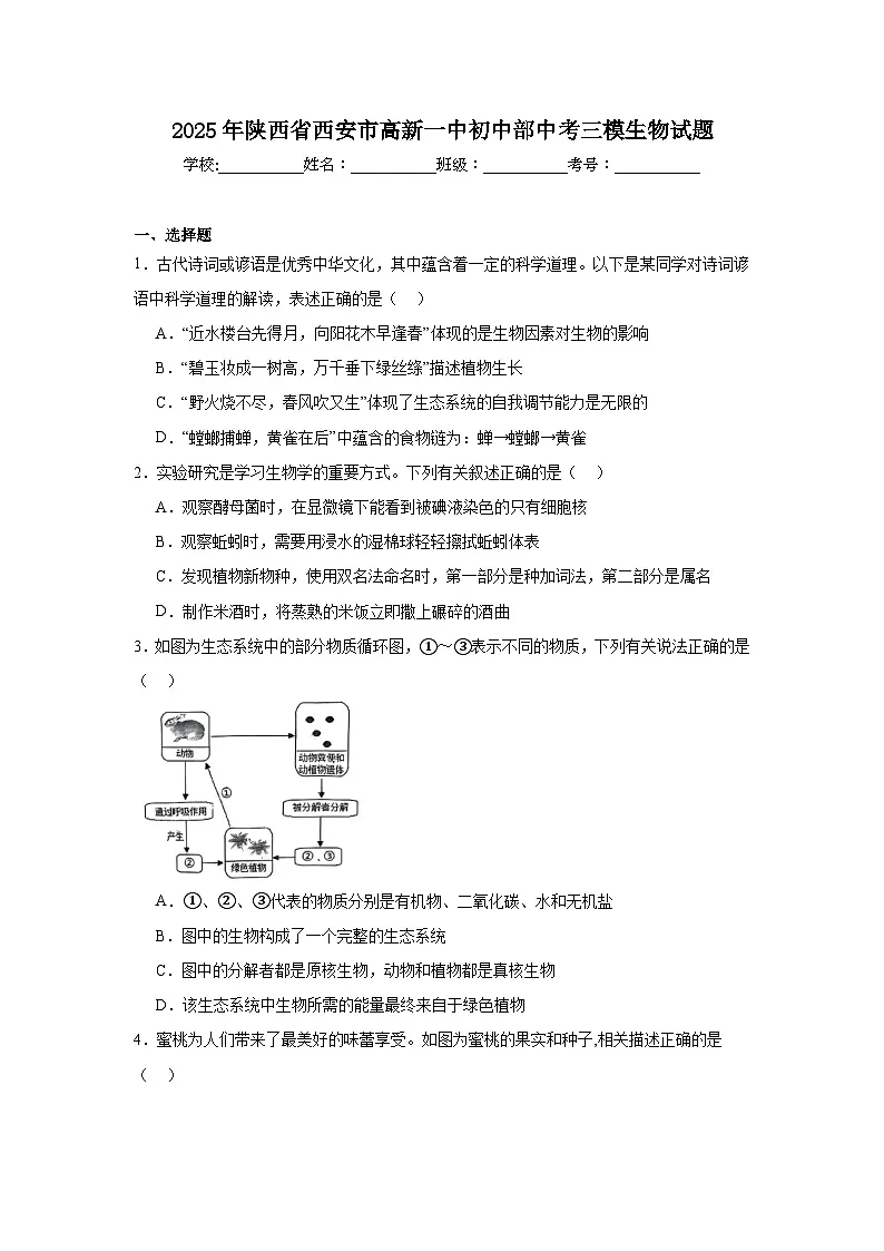 2025年陕西省西安市高新一中初中部中考三模生物试题（无答案）第1页