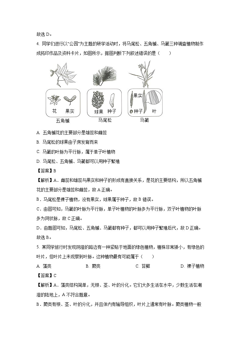 2025年山东省聊城市阳谷县中考三模生物试卷（解析版）第3页