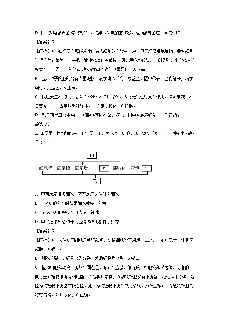 2025年山东省菏泽市成武县九年级中考三模生物试卷（解析版）第2页