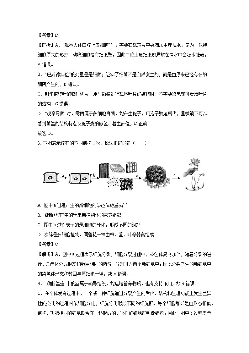 2025年山东省济南市天桥区八年级中考三模生物试卷（解析版）第2页
