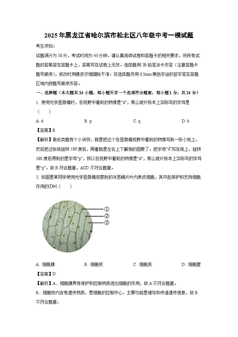 2025年黑龙江省哈尔滨市松北区八年级中考一模生物试卷（解析版）第1页