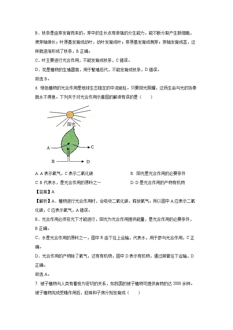 2025年黑龙江省哈尔滨市松北区八年级中考一模生物试卷（解析版）第3页