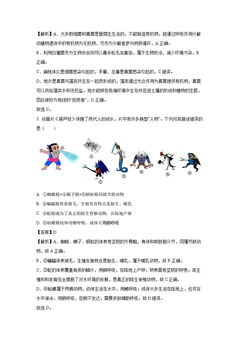 2025年河南省南阳市西峡县八年级中考三模生物试卷（解析版）第2页