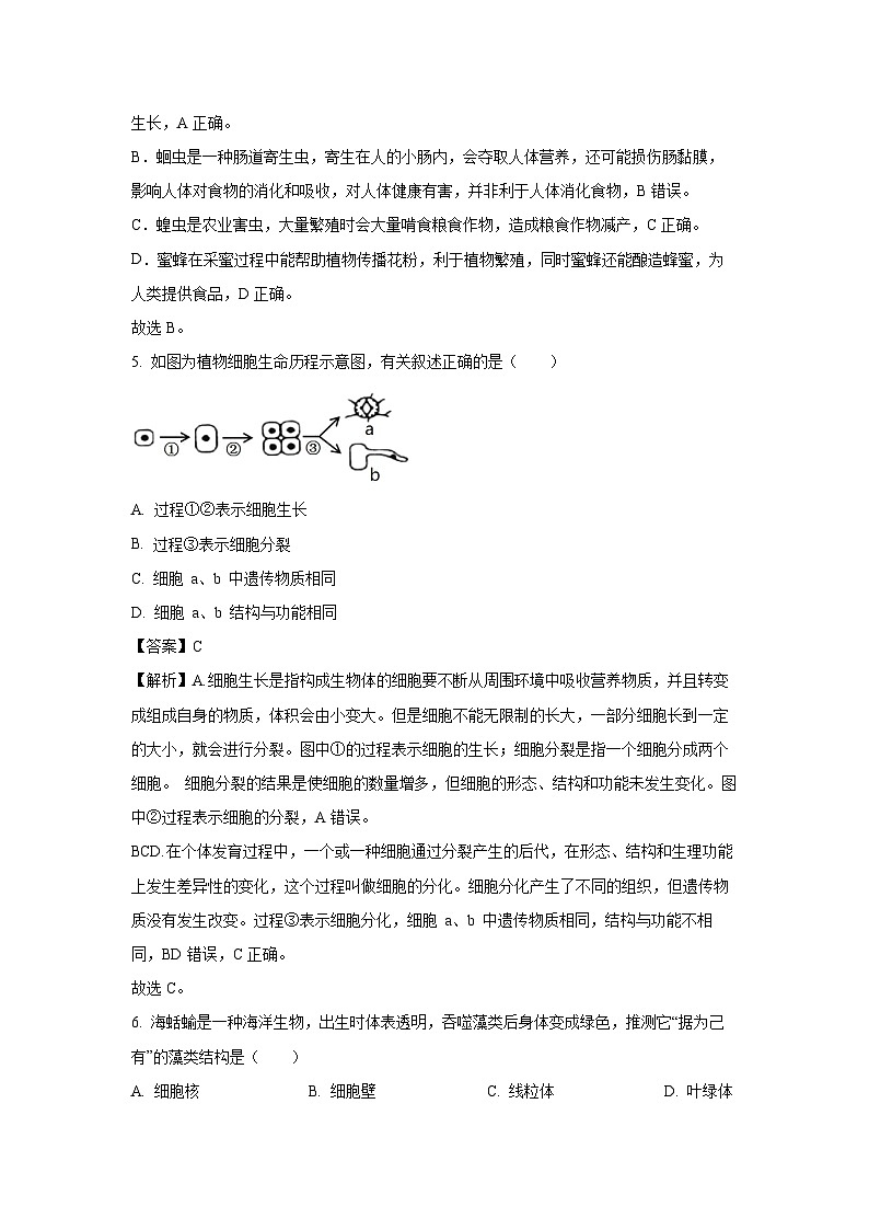 2025年福建省泉州市惠安县八年级中考模拟生物试卷（解析版）第3页