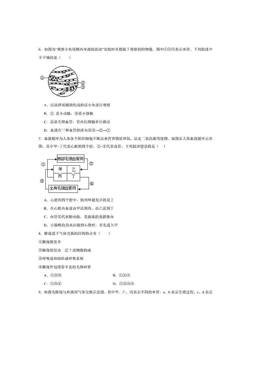 2024～2025学年江西省宜春市丰城市第九中学八年级上开学考试生物试卷(含答案)第2页