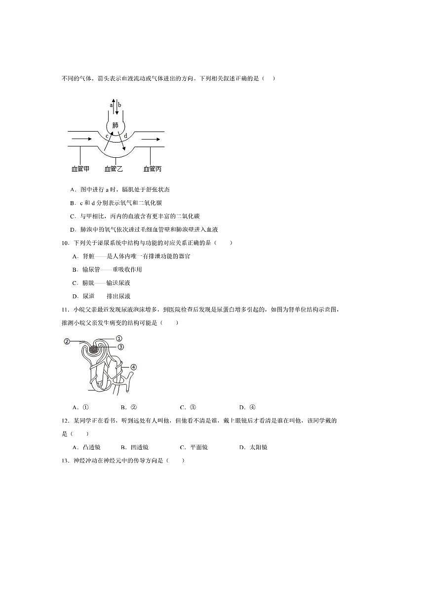 2024～2025学年江西省宜春市丰城市第九中学八年级上开学考试生物试卷(含答案)第3页