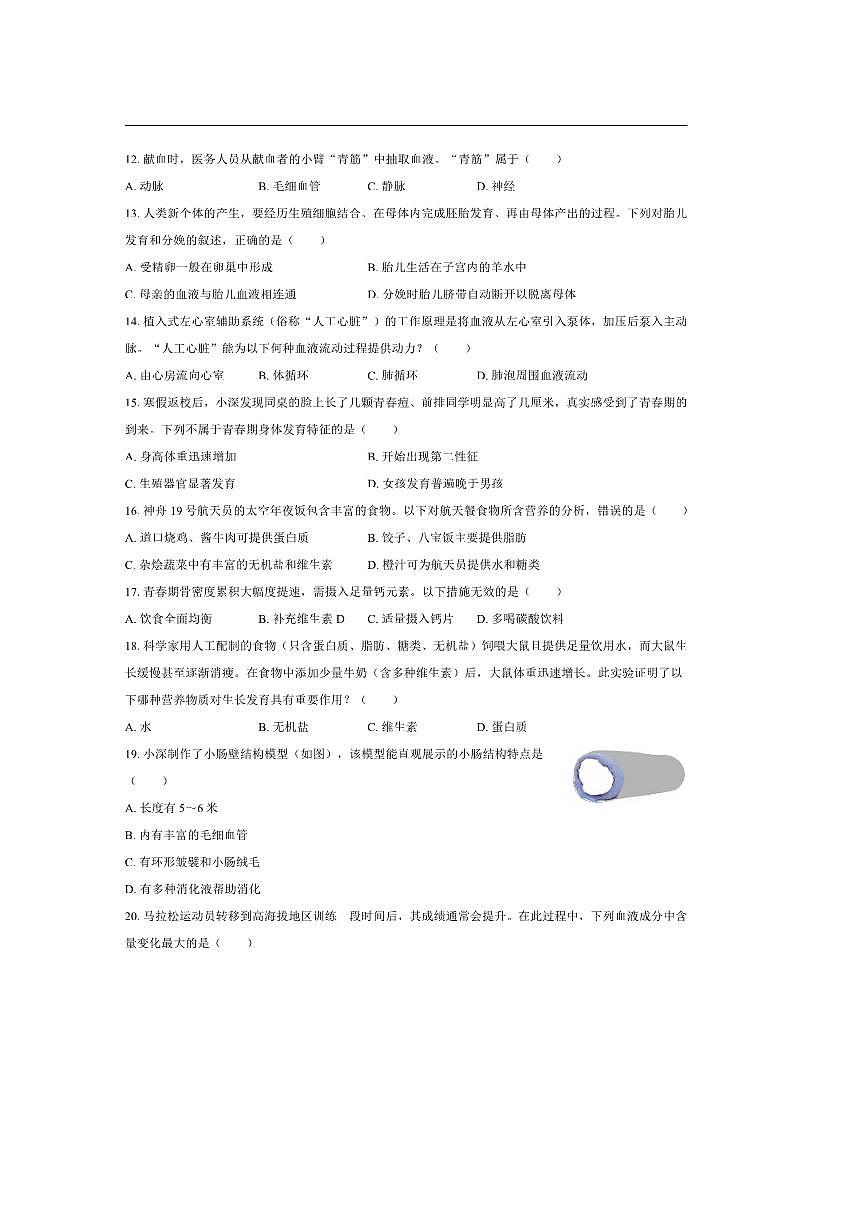 2024～2025学年广东省深圳市南山区七年级下期末考试生物试卷(含解析)第3页