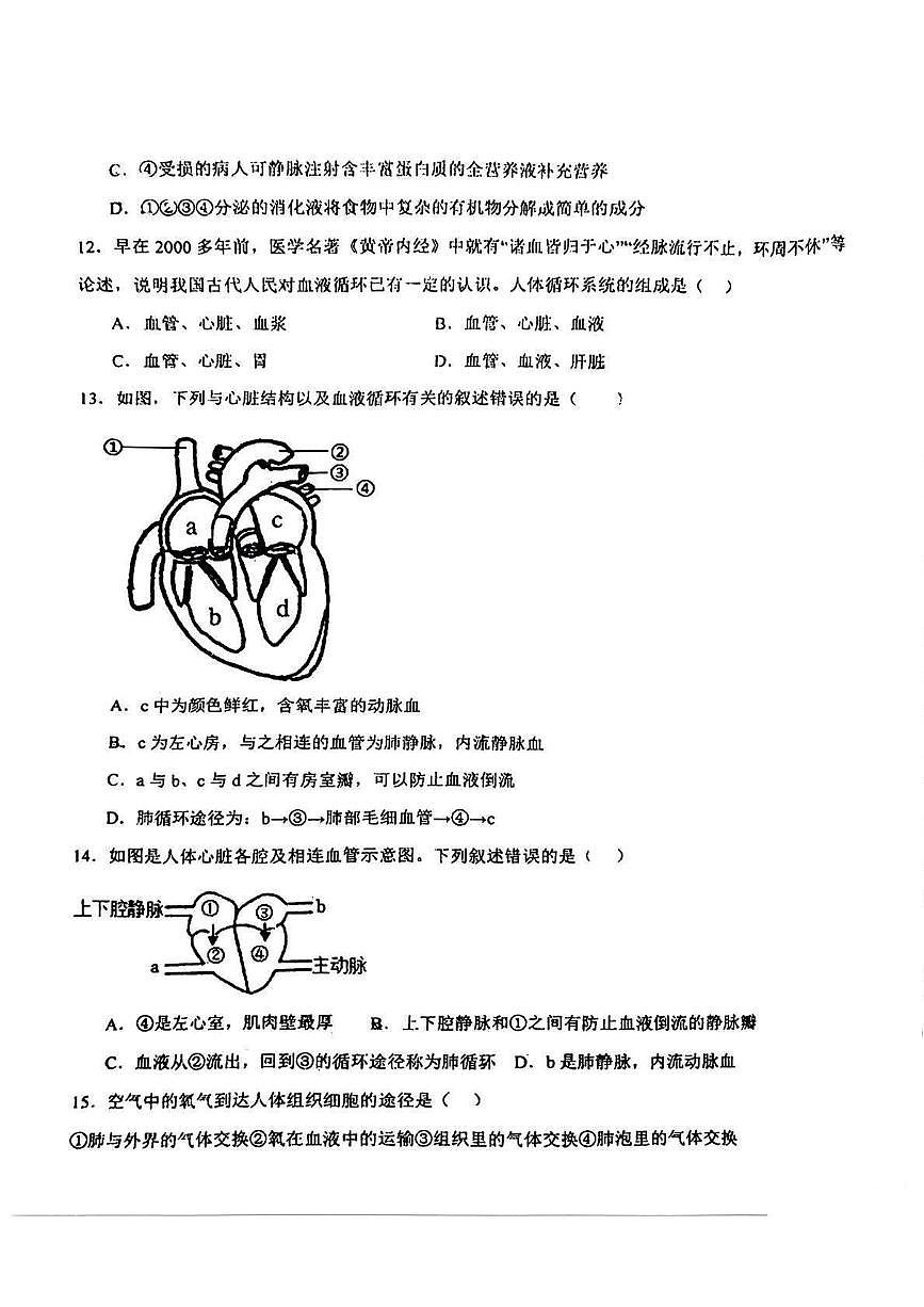 河北省石家庄市第二十八中学2024-2025学年八年级上学期开学考试生物试卷第3页