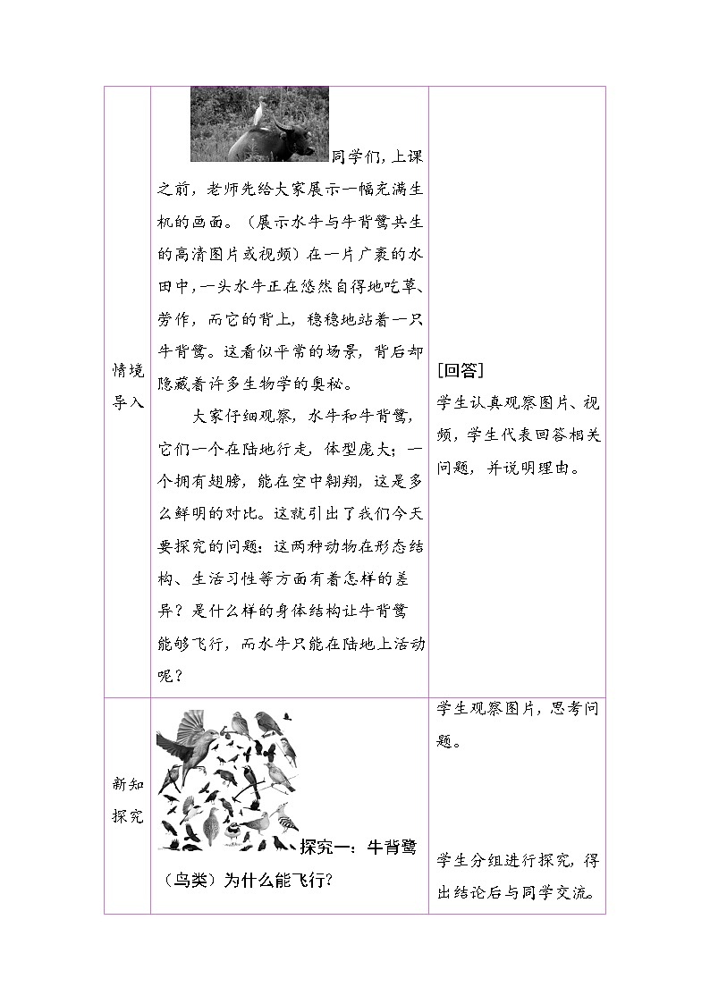 2.2.2 三 鸟和哺乳动物（教案）2025-2026学年人教版七年级生物上册第2页