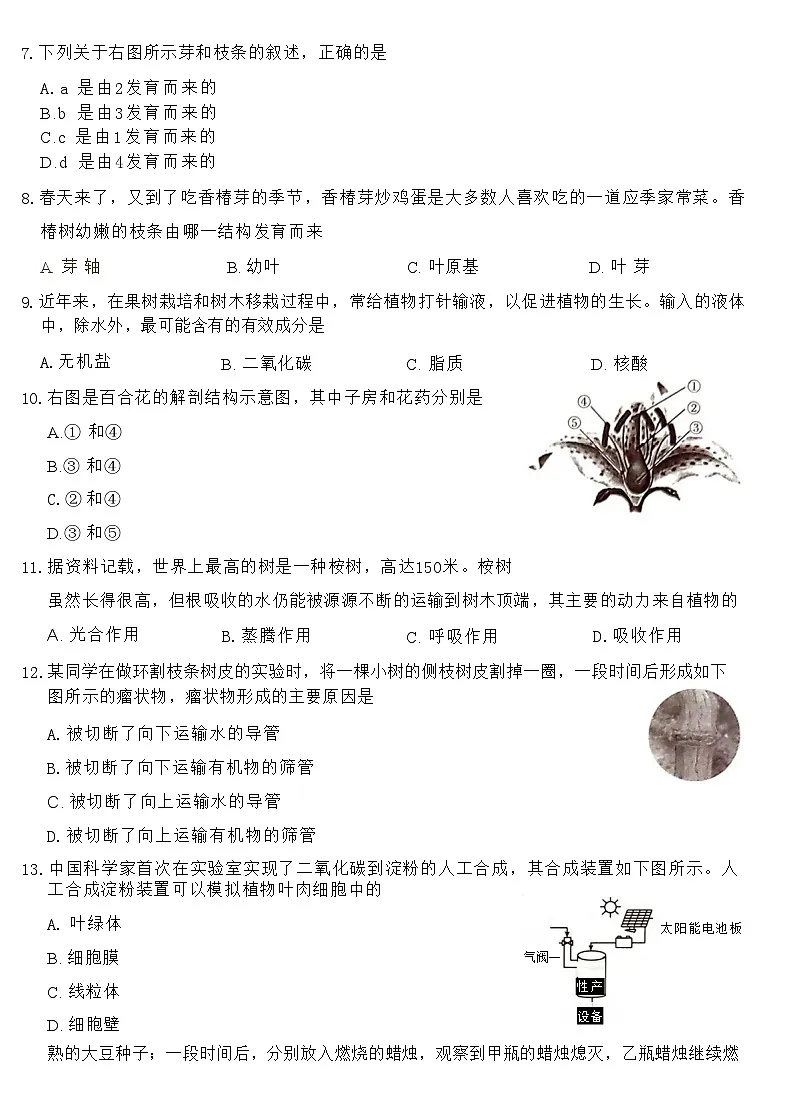 七年级下学期期中考试生物试卷第3页