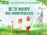 人教版生物八年級上冊 4.6.2 神經(jīng)調(diào)節(jié) 第2課時 教學課件+表格教案