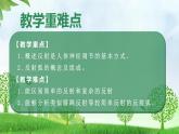人教版生物八年級上冊 4.6.2 神經(jīng)調(diào)節(jié) 第2課時 教學課件+表格教案