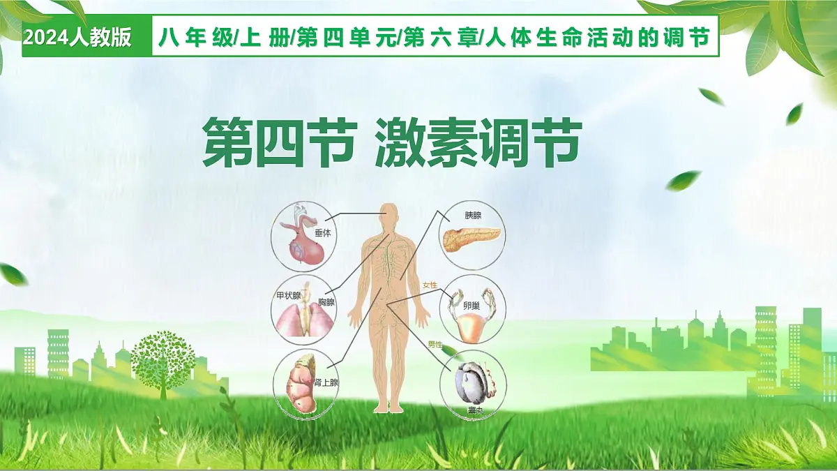 人教版生物八年级上册 4.6.4 激素调节 教学课件第1页