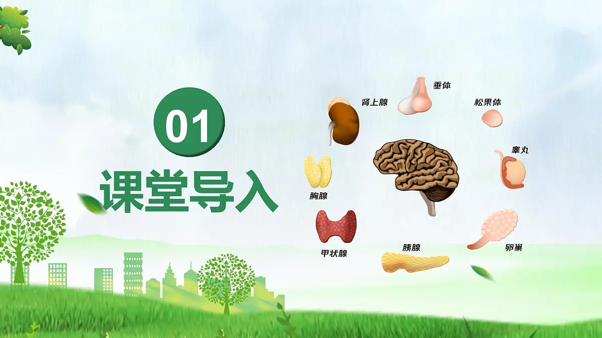 人教版生物八年级上册 4.6.4 激素调节 教学课件第4页