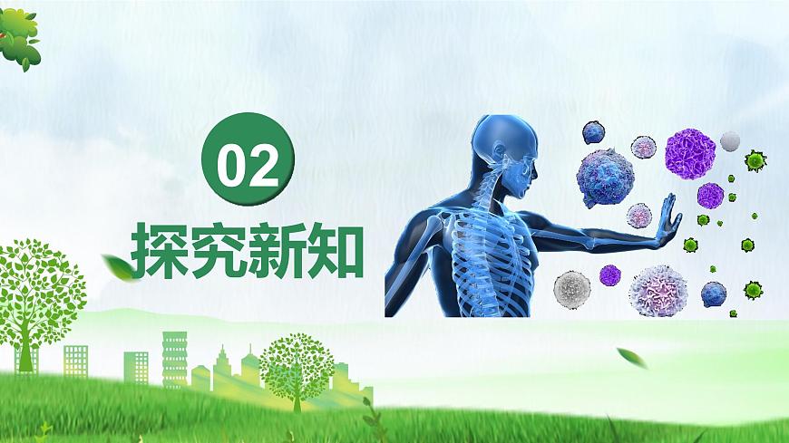 人教版生物八年级上册 4.7.2 免疫与免疫规划 教学课件第6页
