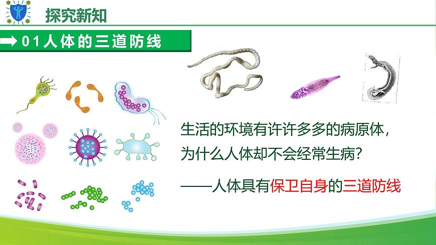 人教版生物八年级上册 4.7.2 免疫与免疫规划 教学课件第7页