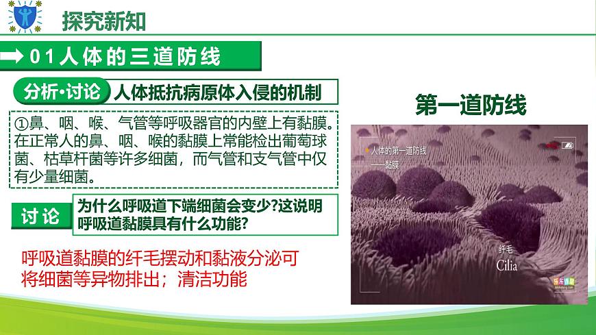 人教版生物八年级上册 4.7.2 免疫与免疫规划 教学课件第8页