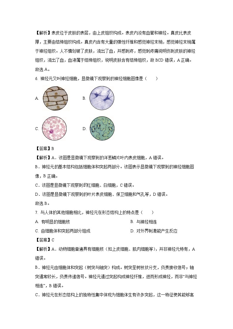 北京市房山区2024-2025学年七年级下学期期末生物试题（解析版）第3页