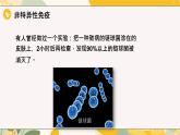 【核心素養(yǎng)目標(biāo)】冀少版初中生物八年級(jí)上冊(cè)4.1.3《免疫》課件+教案表格式