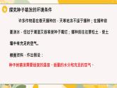 【核心素養(yǎng)目標(biāo)】冀少版初中生物八年級(jí)上冊(cè)5.1.1第二部分《種子的萌發(fā)條件》課件+教案表格式