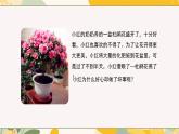 【核心素養(yǎng)目標(biāo)】冀少版初中生物八年級(jí)上冊(cè)5.2.1《根對(duì)水的吸收》課件+教案表格式