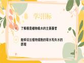 【核心素養(yǎng)目標(biāo)】冀少版初中生物八年級(jí)上冊(cè)5.2.1《根對(duì)水的吸收》課件+教案表格式