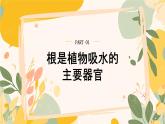 【核心素養(yǎng)目標(biāo)】冀少版初中生物八年級(jí)上冊(cè)5.2.1《根對(duì)水的吸收》課件+教案表格式