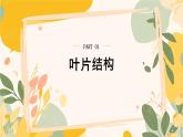 【核心素養(yǎng)目標(biāo)】冀少版初中生物八年級(jí)上冊(cè)5.2.2《蒸騰作用與水的散失》課件+教案表格式
