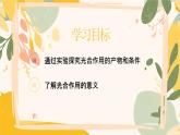 【核心素養(yǎng)目標(biāo)】冀少版初中生物八年級上冊5.3.1第一部分《光合作用的產(chǎn)物與條件》課件+教案表格式