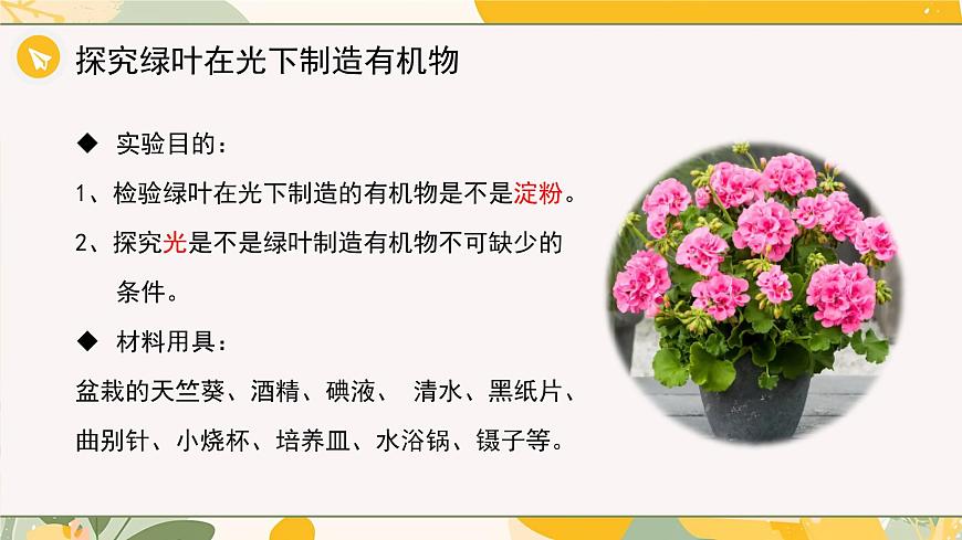 【核心素养目标】冀少版初中生物八年级上册5.3.1第一部分《光合作用的产物与条件》课件第5页