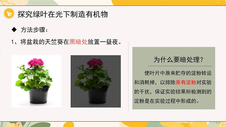 【核心素养目标】冀少版初中生物八年级上册5.3.1第一部分《光合作用的产物与条件》课件第6页