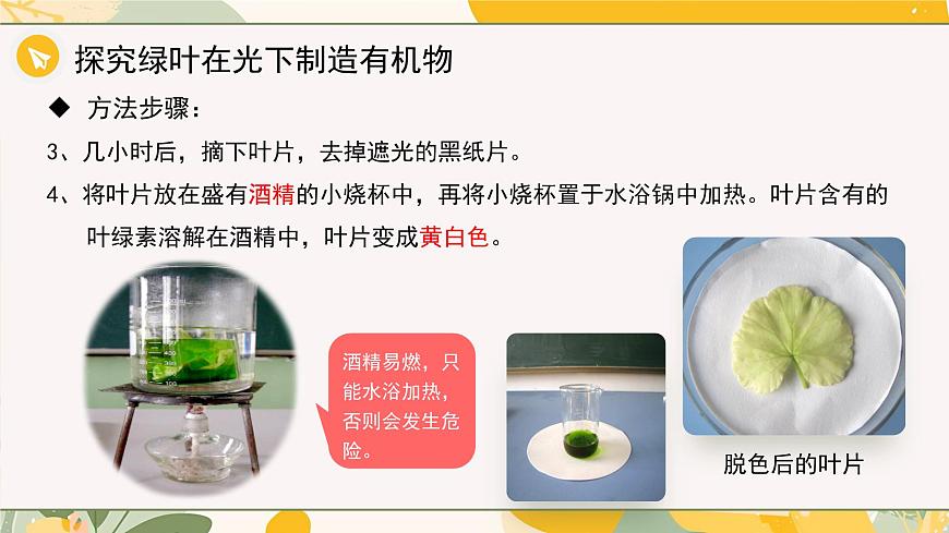 【核心素养目标】冀少版初中生物八年级上册5.3.1第一部分《光合作用的产物与条件》课件第8页