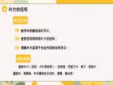 【核心素養(yǎng)目標(biāo)】冀少版初中生物八年級(jí)上冊(cè)5.3.1第三部分《光合作用的場(chǎng)所》課件+教案表格式
