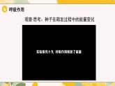 【核心素養(yǎng)目標(biāo)】冀少版初中生物八年級(jí)上冊(cè)5.3.2《呼吸作用》課件+教案表格式