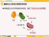 【核心素養(yǎng)目標(biāo)】冀少版初中生物八年級(jí)上冊(cè)5.3.3《植物在生物圈碳氧平衡中的作用》課件+教案表格式