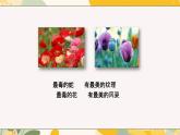 【核心素養(yǎng)目標(biāo)】冀少版初中生物八年級(jí)上冊(cè)4.2.2《拒絕毒品》課件+教案表格式