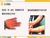 【核心素養(yǎng)目標(biāo)】冀少版初中生物八年級(jí)上冊(cè)4.2.2《拒絕毒品》課件+教案表格式