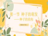 【核心素養(yǎng)目標(biāo)】冀少版初中生物八年級(jí)上冊(cè)5.1.1第一部分《種子的結(jié)構(gòu)》課件+教案表格式