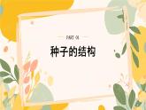 【核心素養(yǎng)目標(biāo)】冀少版初中生物八年級(jí)上冊(cè)5.1.1第一部分《種子的結(jié)構(gòu)》課件+教案表格式