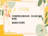 【核心素養(yǎng)目標(biāo)】冀少版初中生物八年級(jí)上冊(cè)5.1.2《根的生長(zhǎng)》課件+教案表格式