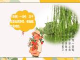 【核心素養(yǎng)目標(biāo)】冀少版初中生物八年級(jí)上冊(cè)5.1.3《芽的發(fā)育》課件+教案表格式