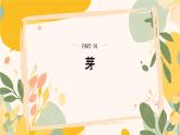 【核心素養(yǎng)目標(biāo)】冀少版初中生物八年級(jí)上冊(cè)5.1.3《芽的發(fā)育》課件+教案表格式