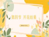 【核心素養(yǎng)目標(biāo)】冀少版初中生物八年級(jí)上冊(cè)5.1.4《開(kāi)花結(jié)果》課件+教案表格式