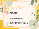 【核心素養(yǎng)目標(biāo)】冀少版初中生物八年級(jí)上冊(cè)5.1.4《開(kāi)花結(jié)果》課件+教案表格式
