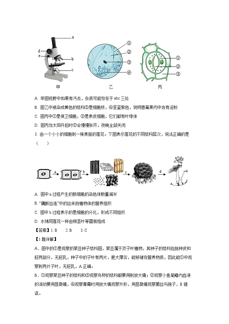 2025年山东省临沂市河东区中考二模生物试题（解析版）第2页